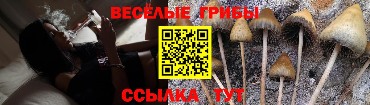 Псилоцибиновые грибы мухоморы Семилуки